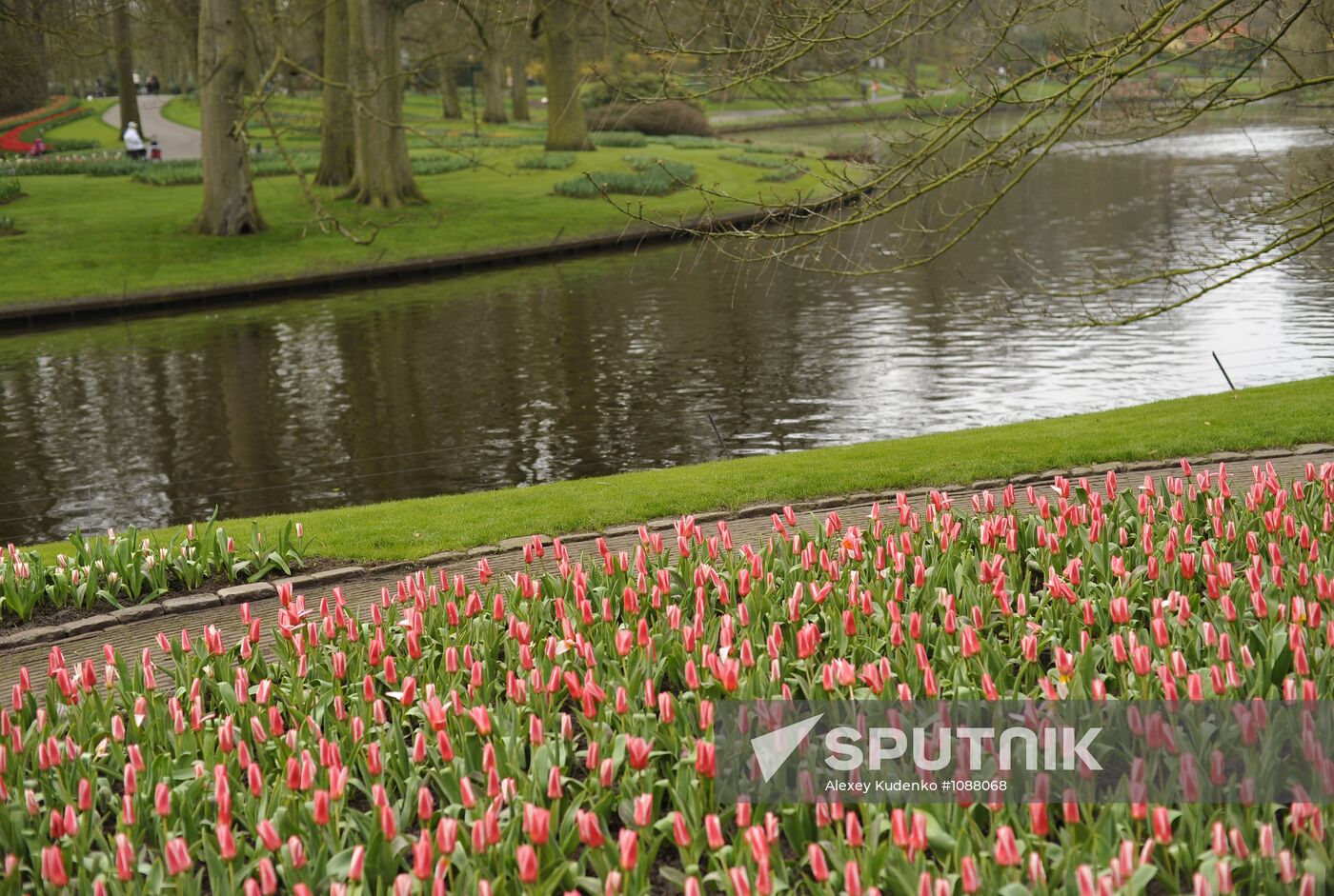 Keukenhof Flower Park in Netherlands