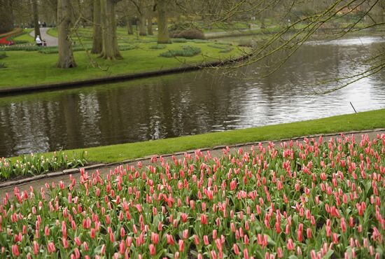 Keukenhof Flower Park in Netherlands