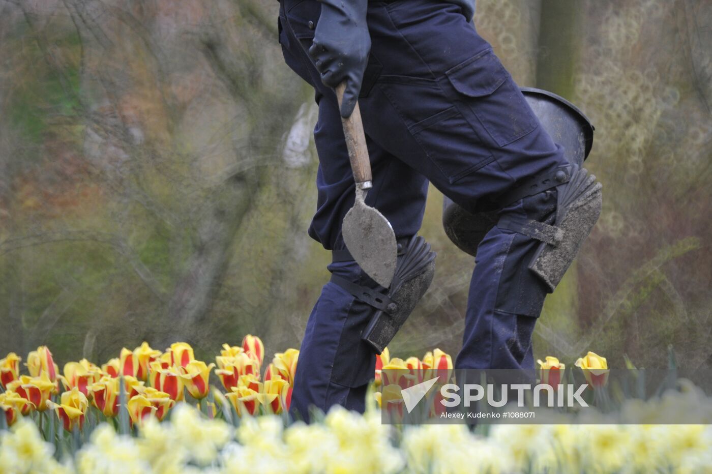 Keukenhof Flower Park in Netherlands