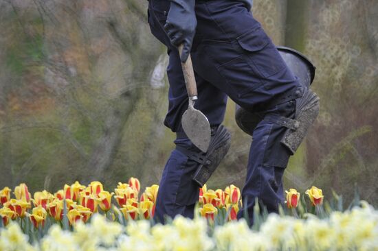 Keukenhof Flower Park in Netherlands