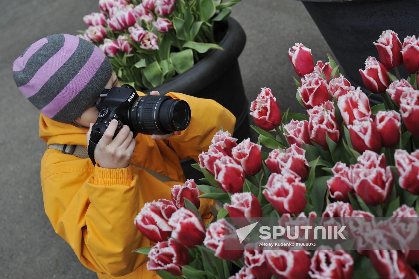 Keukenhof Flower Park in Netherlands