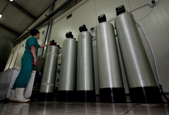 Operation of "The Far Eastern Brewing Company"