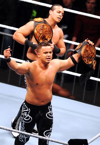 RAW World Tour professional wrestling show