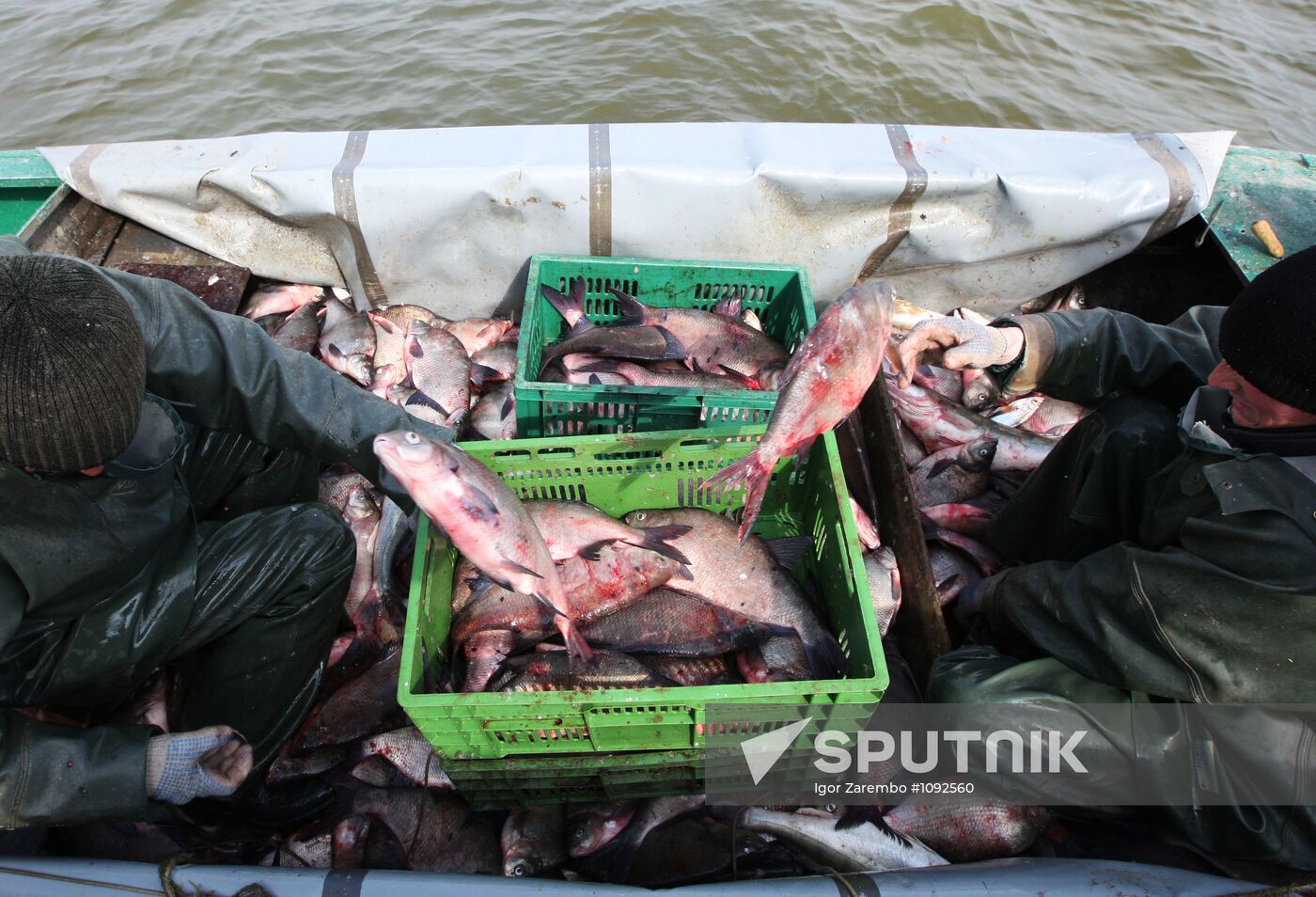 Pike-perch and bream fishing in Curonian Bay