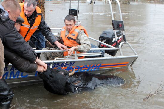 Flooding in Krasnoslobodsk, Mordovia