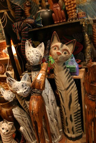 Shop divination horoscope