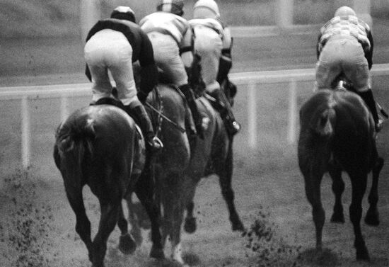 HORSES RACES HIPPODROME
