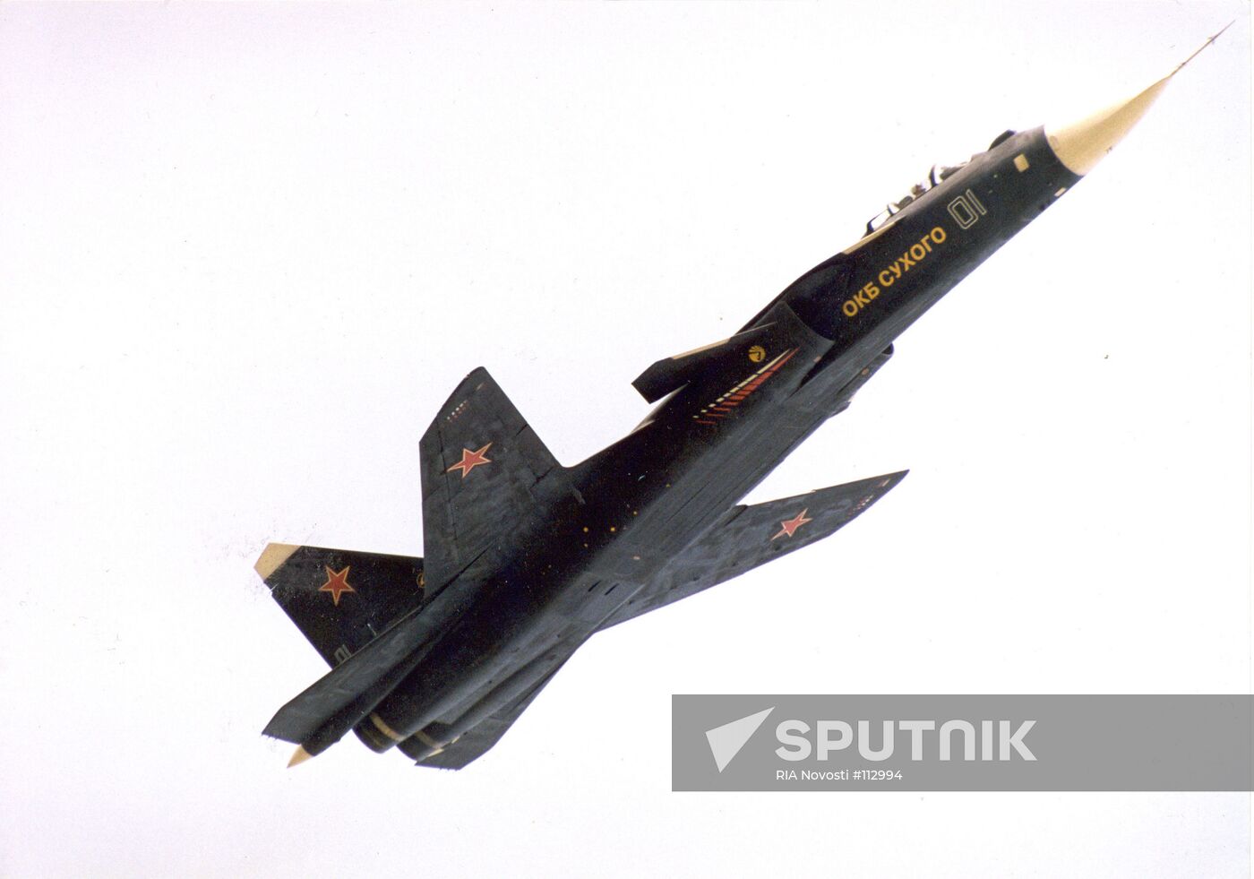 BERKUT (GOLDEN EAGLE)