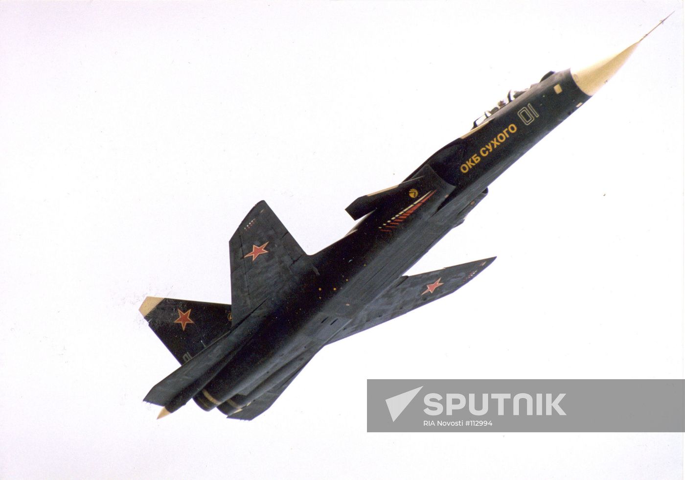 BERKUT (GOLDEN EAGLE)