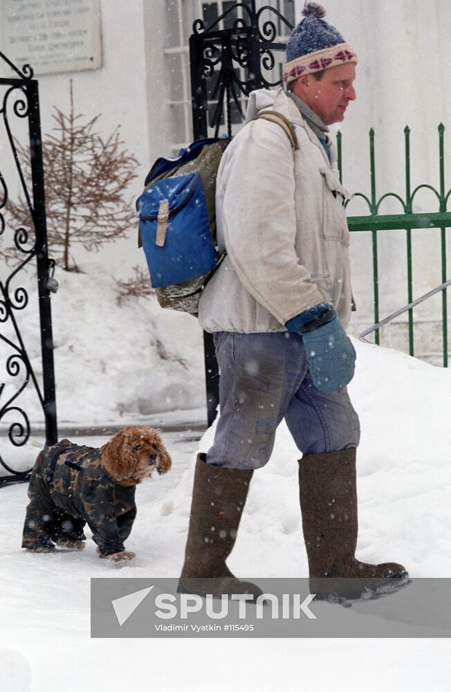 ZVENIGOROD DOG