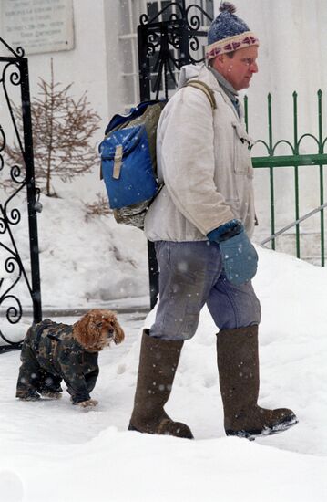 ZVENIGOROD DOG