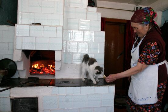 COUNTRY HOUSE STOVE CAT