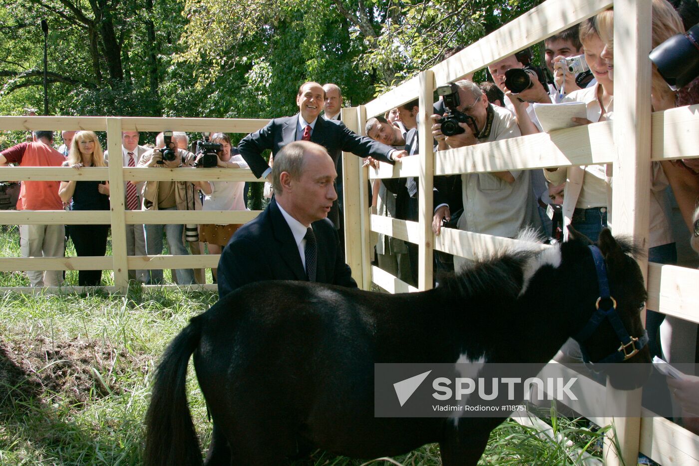 PUTIN BERLUSCONI MINIHORSE
