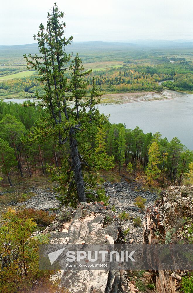 YAKUTIA TOMMOT CLIFF NATURE LANDSCAPE FOREST