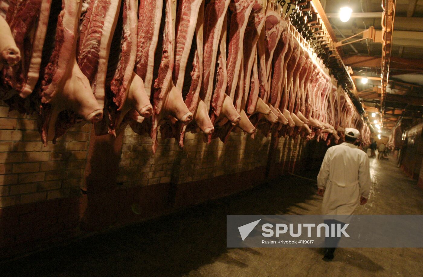 CARCASSES VITEBSK MEAT PROCESSING AND PACKING FACTORY