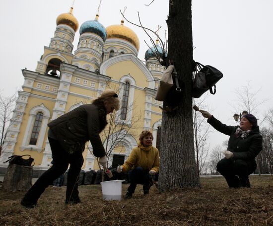 Clean-up days in Russian cities
