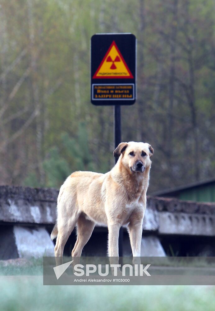 Zone around Chernobyl nuclear power plant
