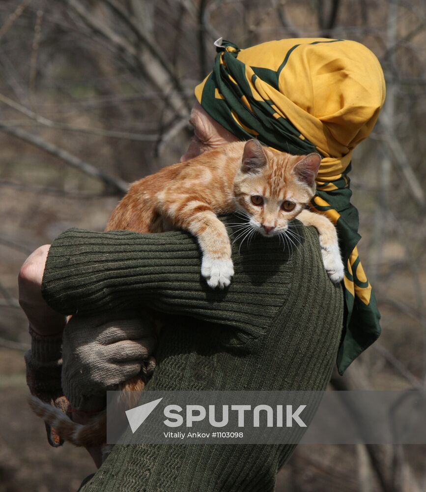 Shelter for homeless animals in Kiparisovo, Primorye