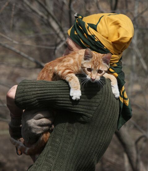 Shelter for homeless animals in Kiparisovo, Primorye