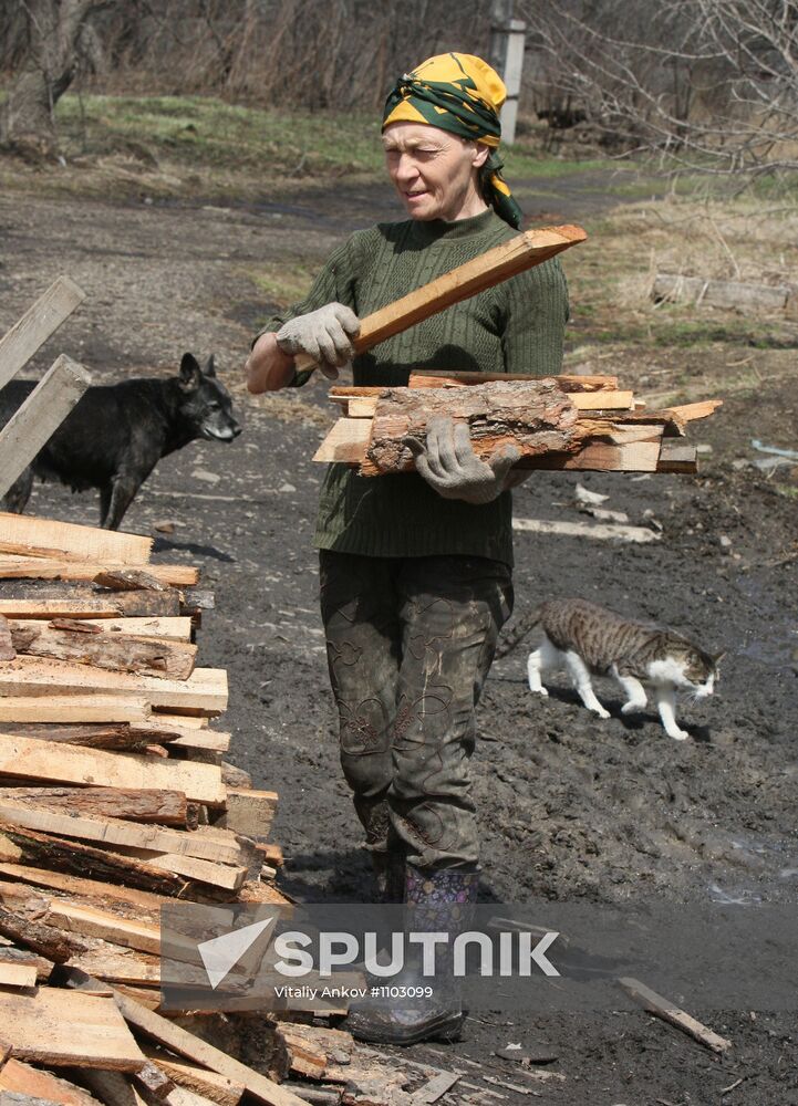 Shelter for homeless animals in Kiparisovo, Primorye
