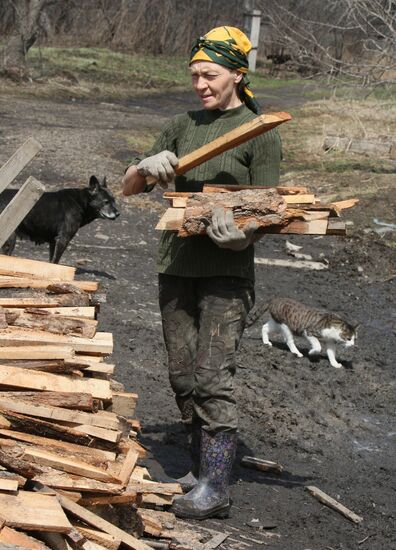 Shelter for homeless animals in Kiparisovo, Primorye