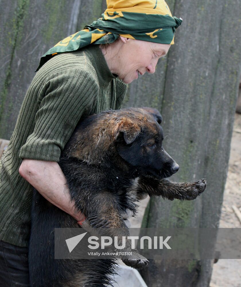 Shelter for homeless animals in Kiparisovo, Primorye