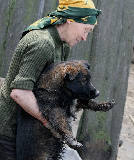 Shelter for homeless animals in Kiparisovo, Primorye