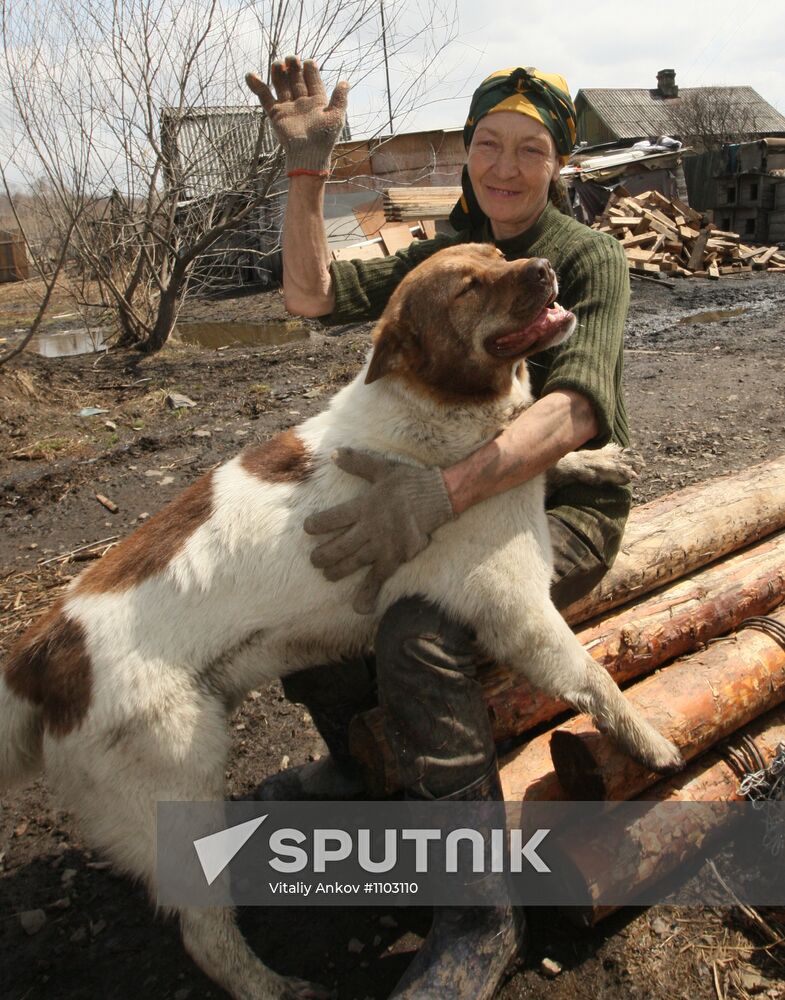 Shelter for homeless animals in Kiparisovo, Primorye
