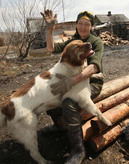 Shelter for homeless animals in Kiparisovo, Primorye