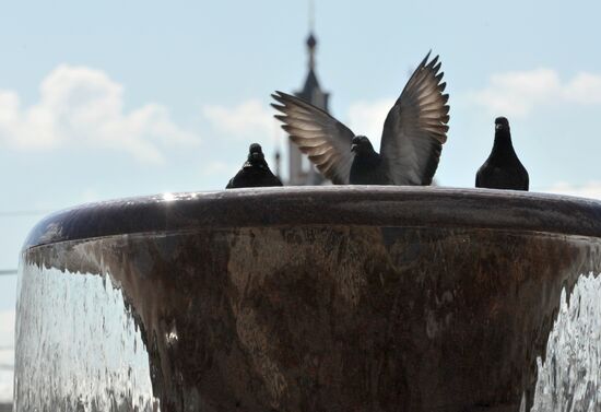 Fountain season opened in Moscow
