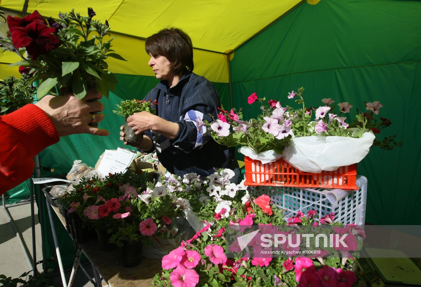 Horticultural fair in Novosibirsk