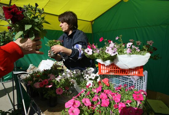 Horticultural fair in Novosibirsk