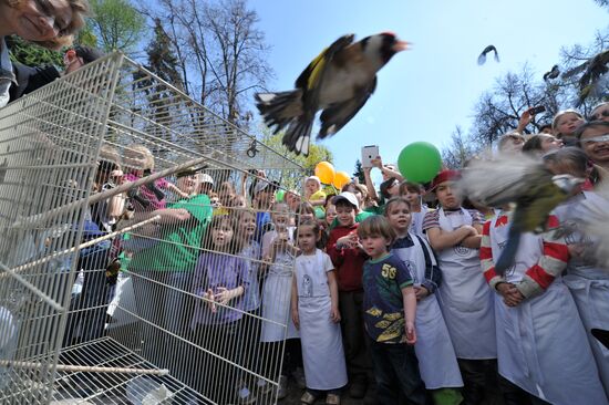 Media workers hold spring clean-up day at Neskuchny Garden