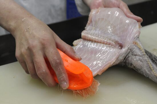 Processing fish in the fishing cooperative in Astrakhan