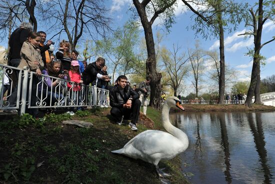 City residents rest in Gorky Park