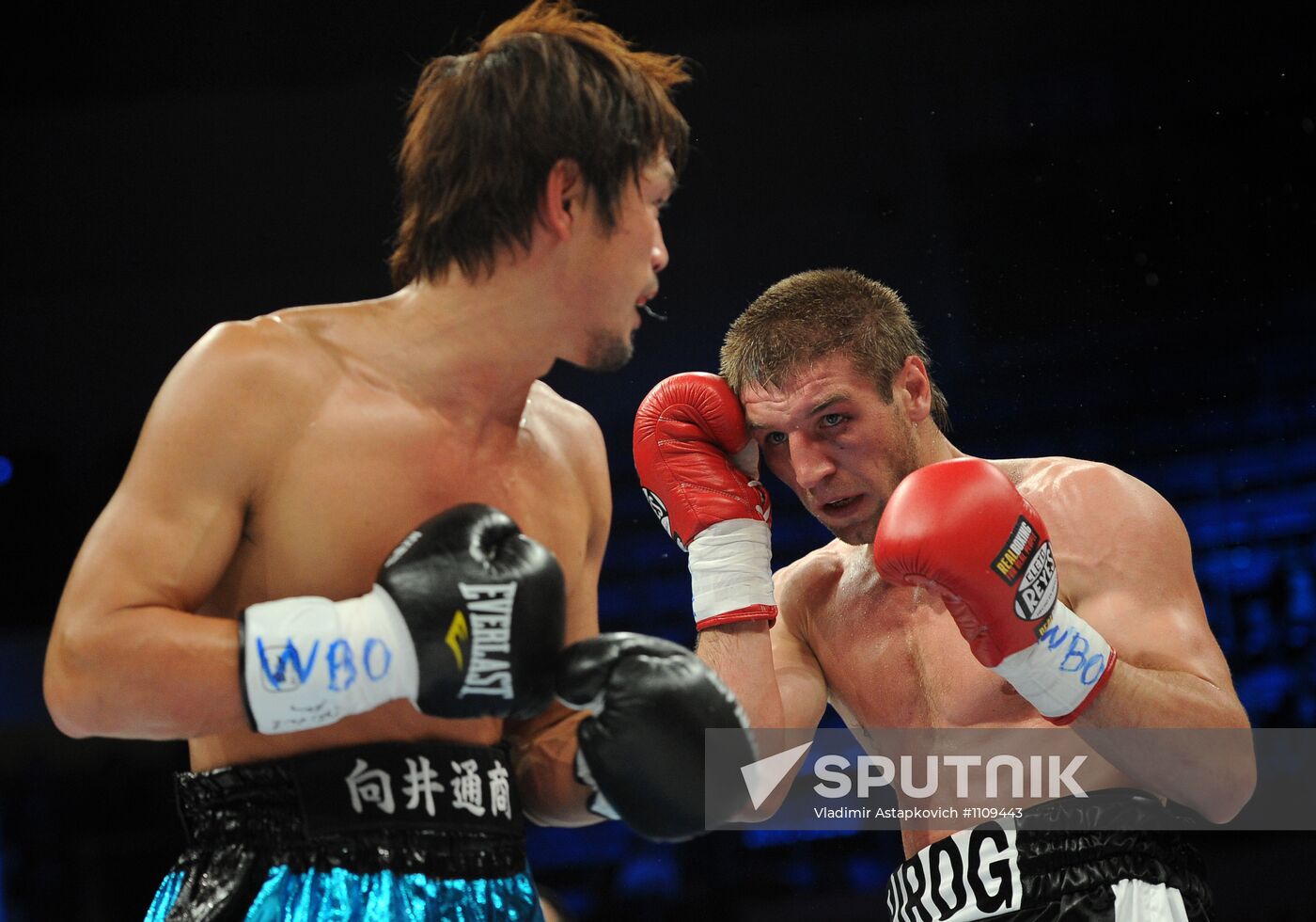 Boxing. Bout between Dmitry Pirog and Nobuhiro Ishida
