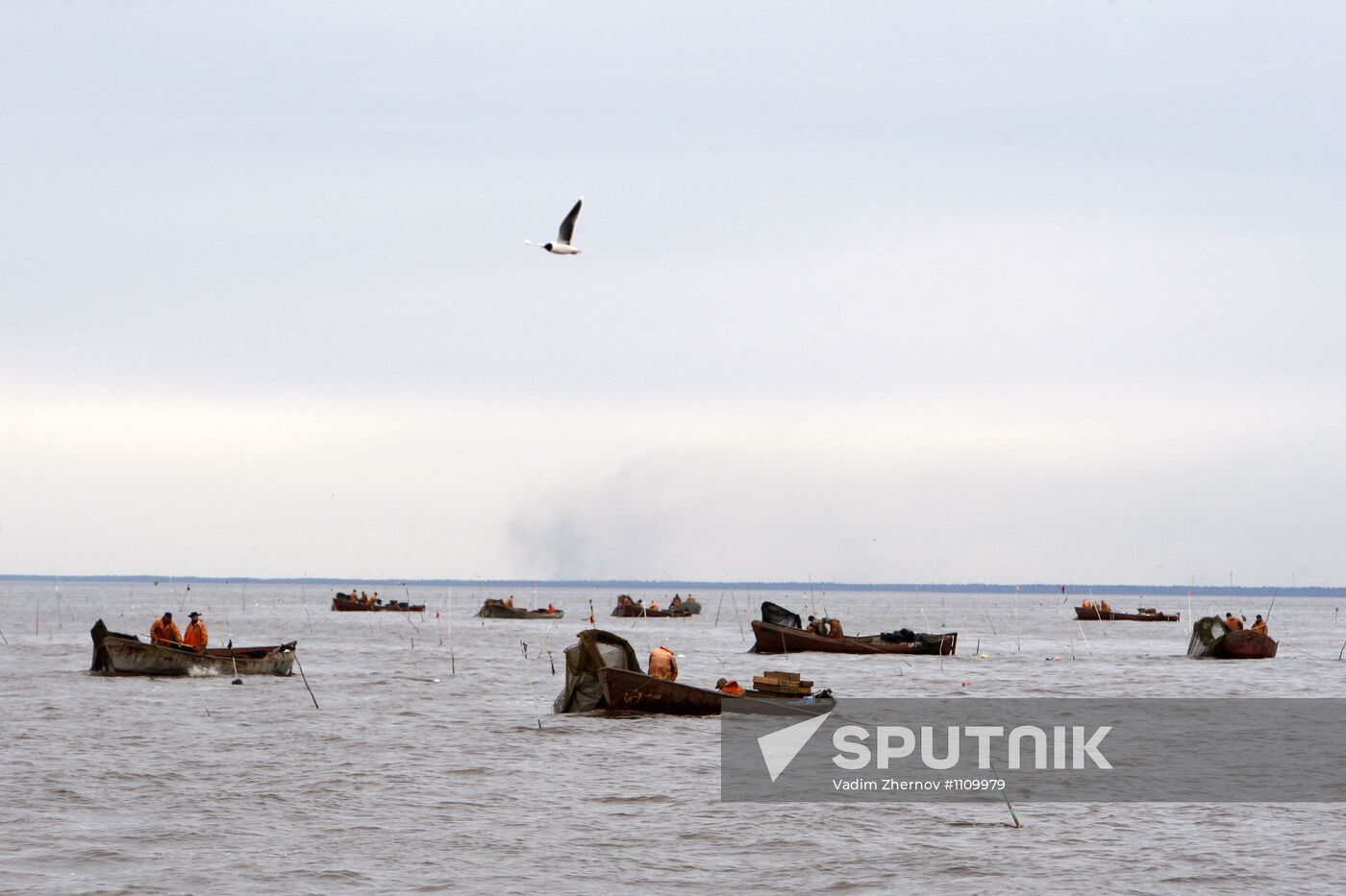 Smelt fishing on Lake Ladoga