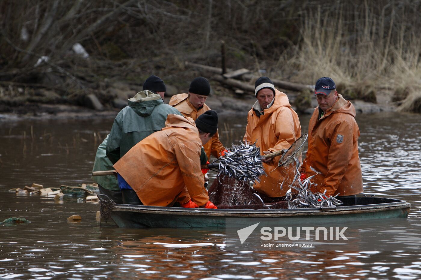 Smelt fishing on Lake Ladoga