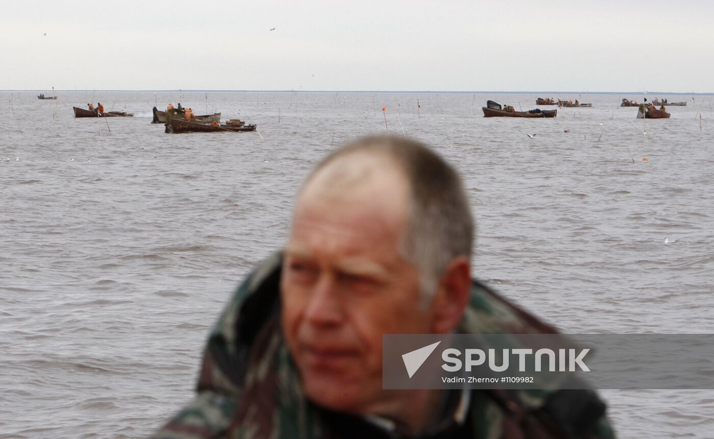 Smelt fishing on Lake Ladoga