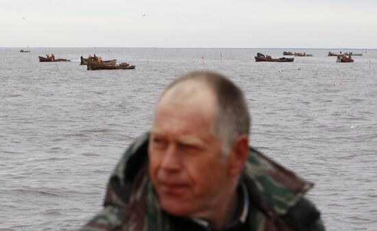 Smelt fishing on Lake Ladoga