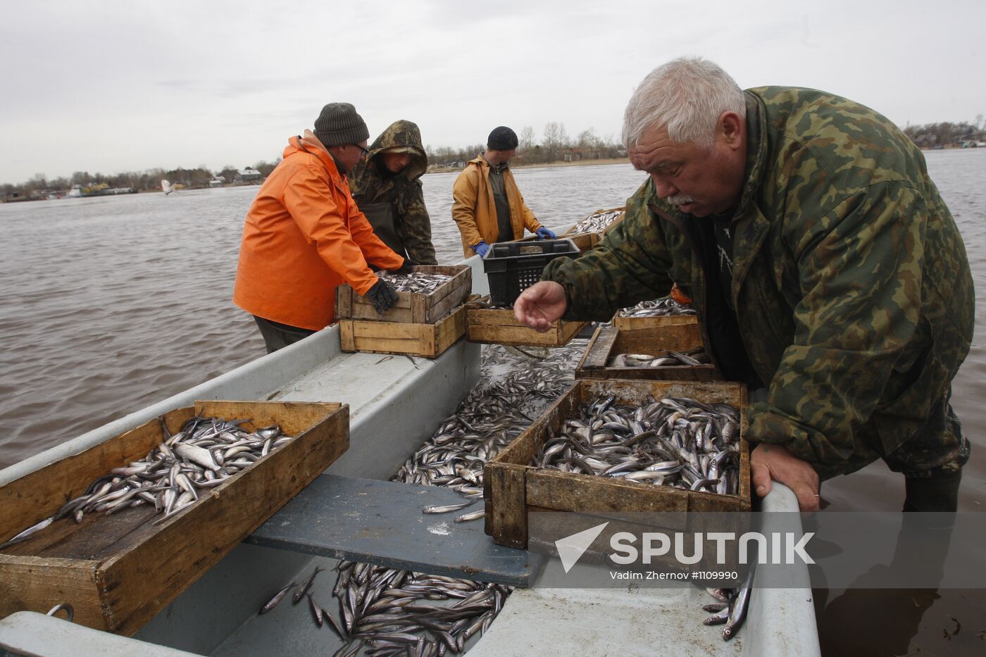 Smelt fishing on Lake Ladoga
