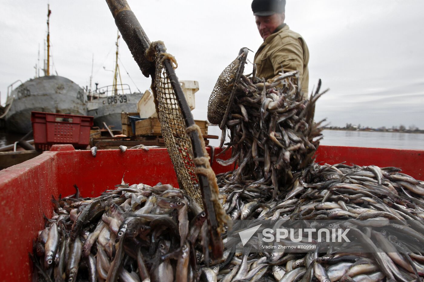 Smelt fishing on Lake Ladoga