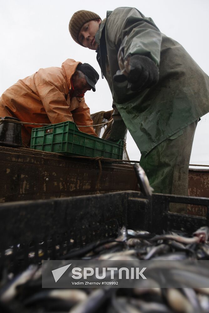 Smelt fishing on Lake Ladoga
