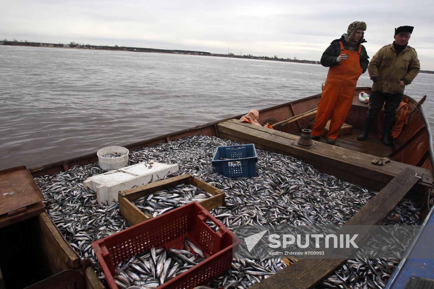 Smelt fishing on Lake Ladoga