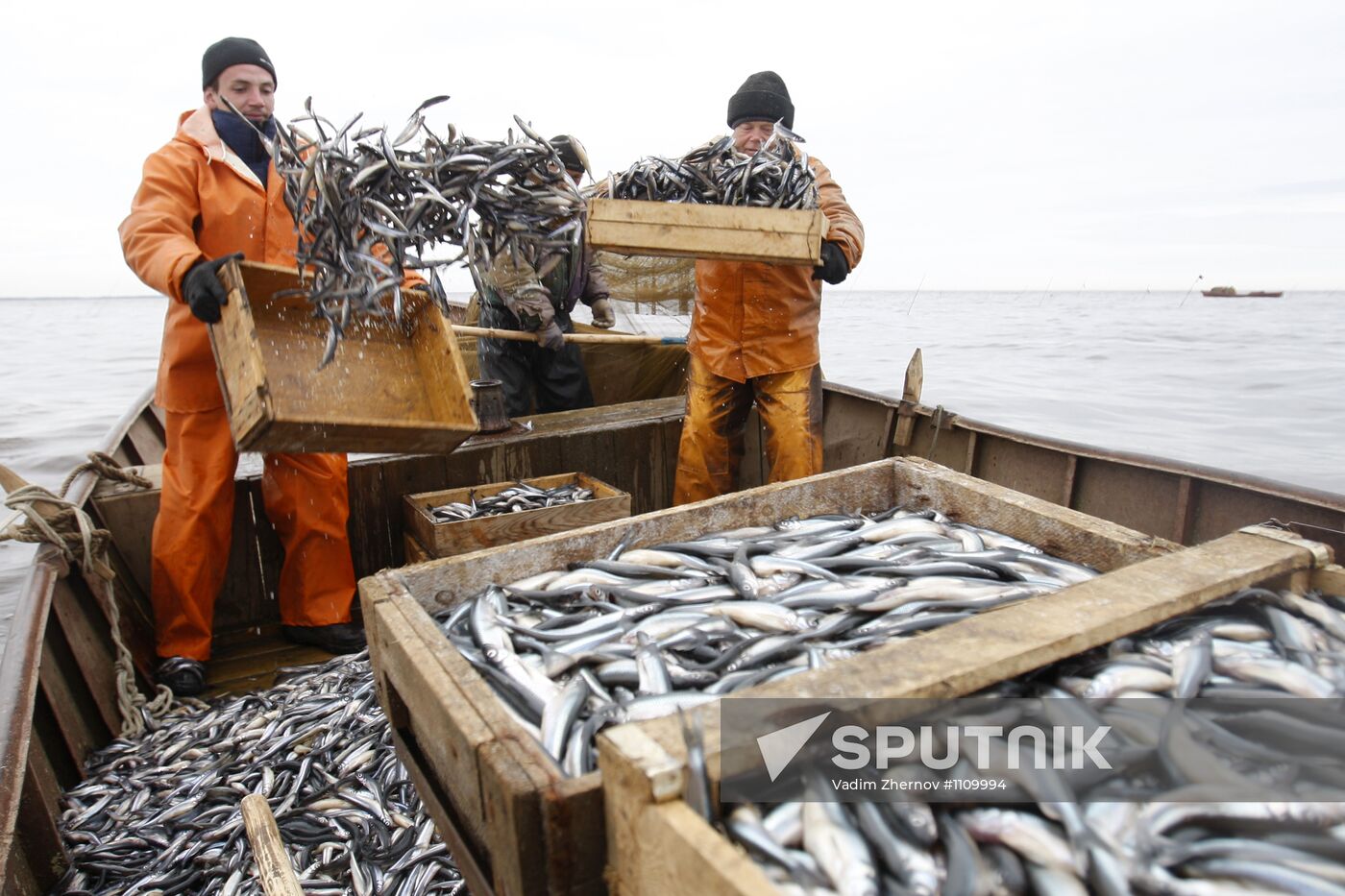 Smelt fishing on Lake Ladoga