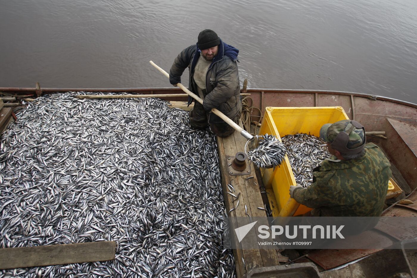 Smelt fishing on Lake Ladoga