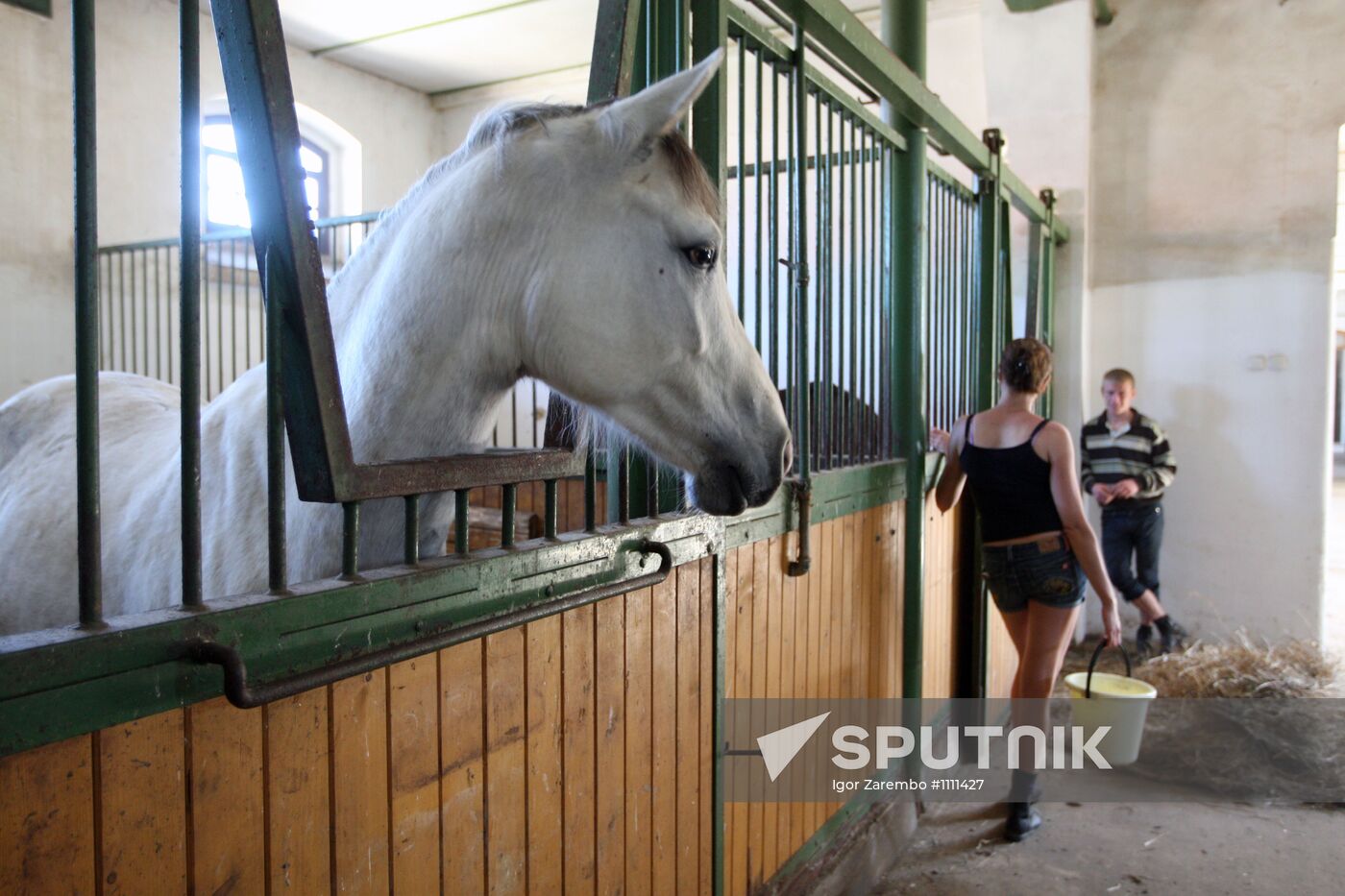 Weedern stud farm in Kaliningrad Region