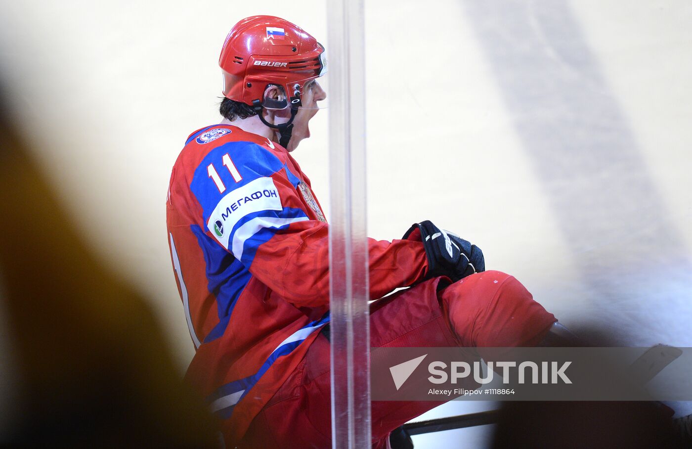 Hockey World Championship. Match Russia - Sweden