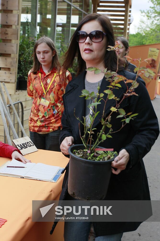 Sunday "Cherry Orchard" festival of arts