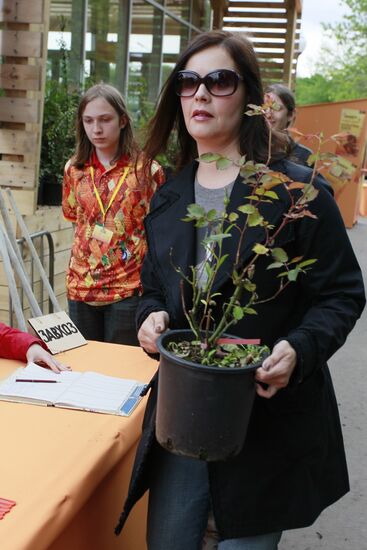 Sunday "Cherry Orchard" festival of arts